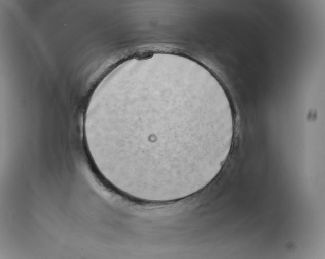X0000111880013200908201308