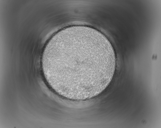 X0000111880015200908201308
