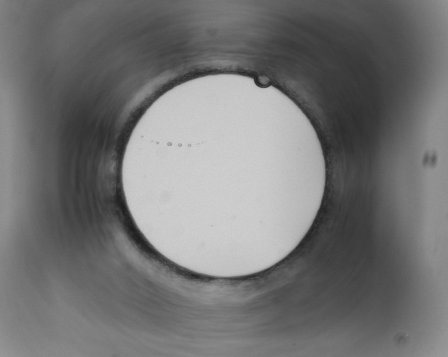 X0000111880016200908201308