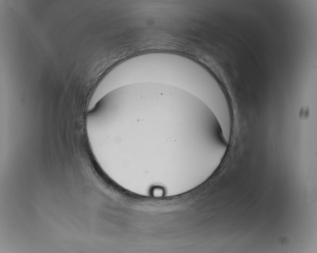 X0000111880017200908201308