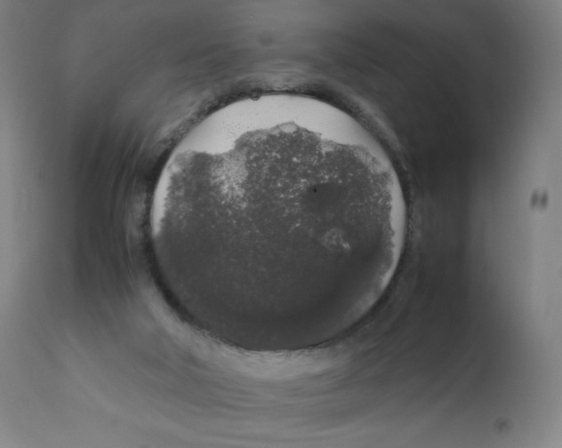 X0000111880018200908201308