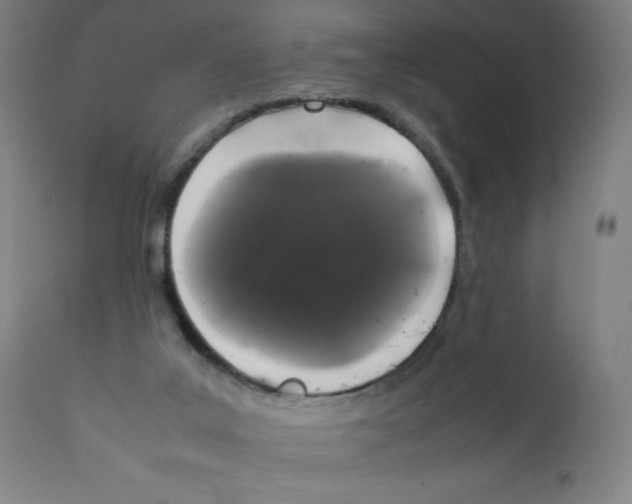 X0000111880019200908201308