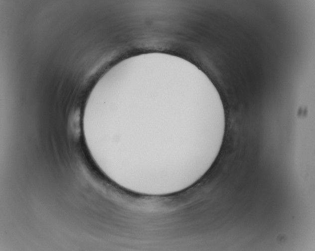 X0000111880020200908201308