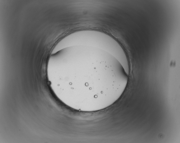 X0000111880021200908201308