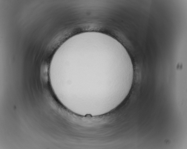 X0000111880022200908201308