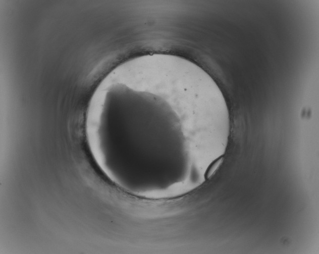 X0000111880023200908201308