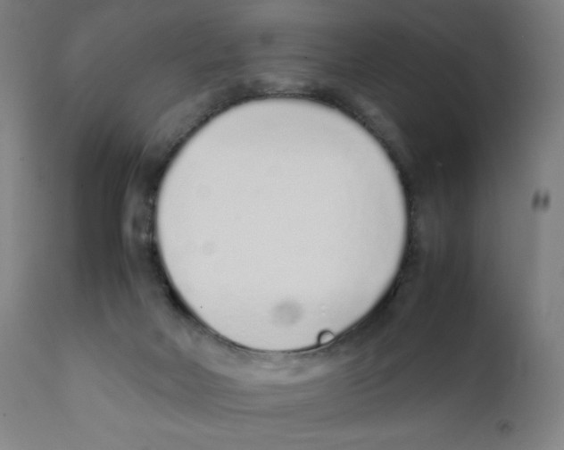 X0000111880026200908201308
