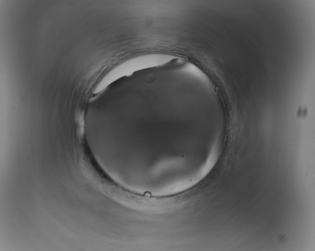X0000111880027200908201308