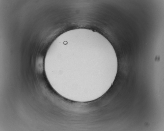 X0000111880028200908201308