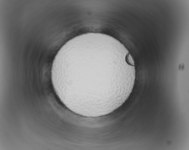 X0000111880030200908201308