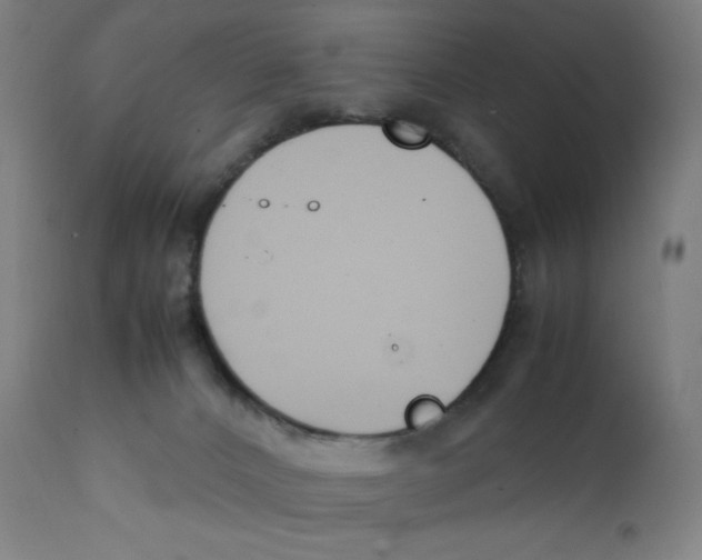 X0000111880032200908201308