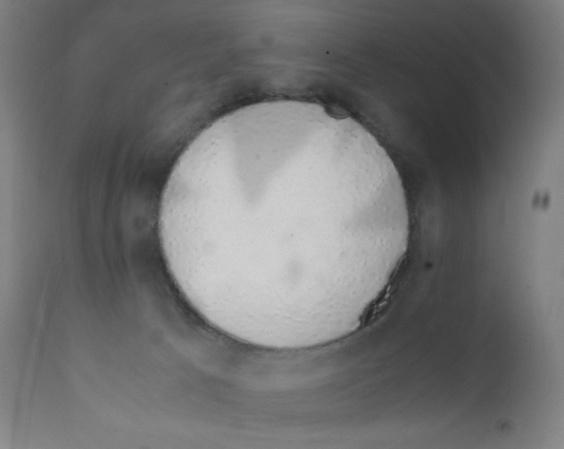X0000111880033200908201308