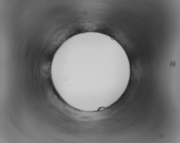 X0000111880034200908201308