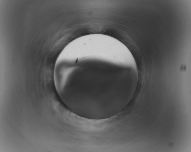 X0000111880035200908201308