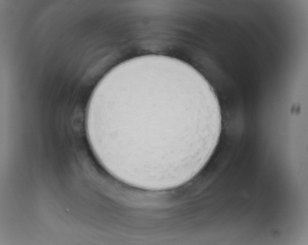X0000111880036200908201308