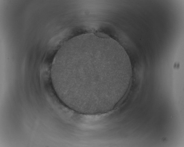 X0000111880037200908201308