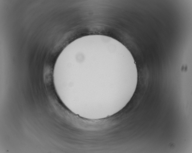 X0000111880038200908201308