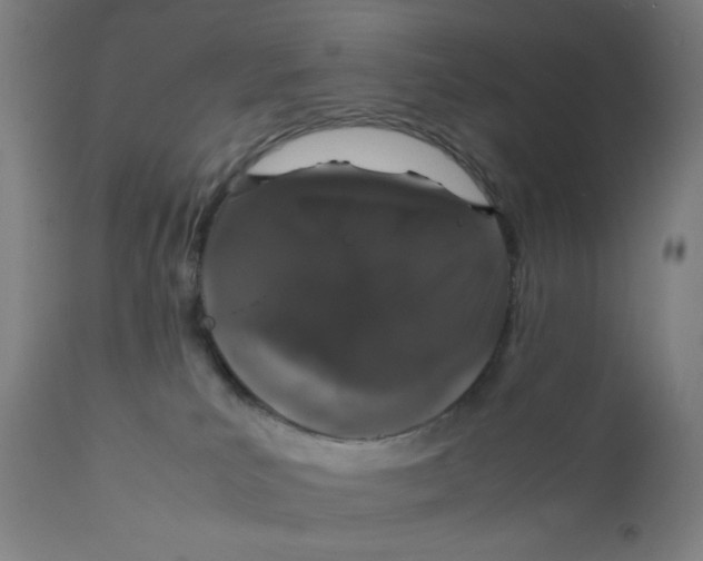 X0000111880039200908201308