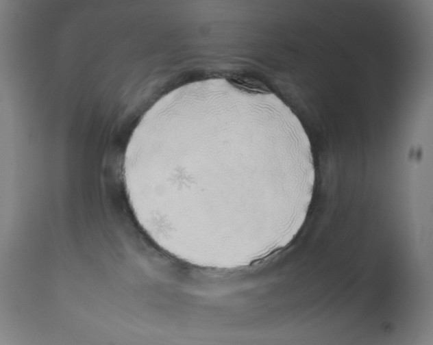 X0000111880041200908201308