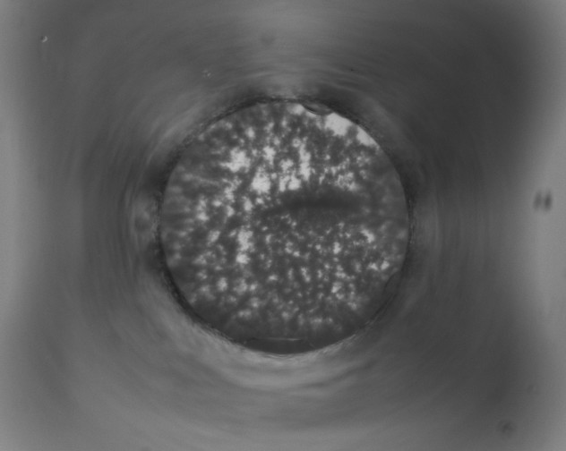 X0000111880043200908201308