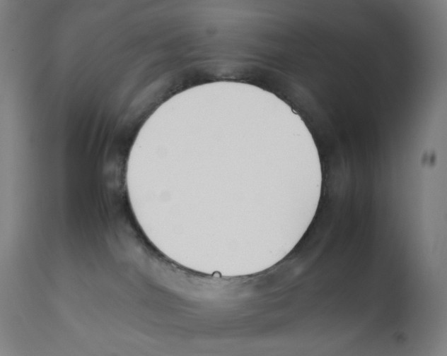 X0000111880044200908201308