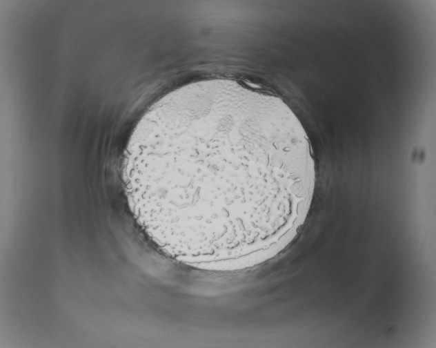 X0000111880045200908201308