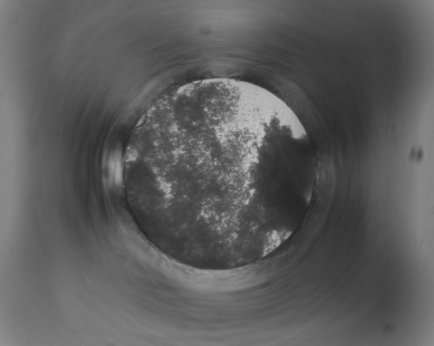 X0000111880046200908201308
