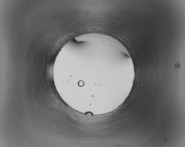 X0000111880047200908201308