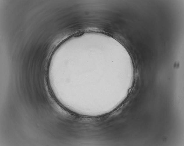 X0000111880049200908201307