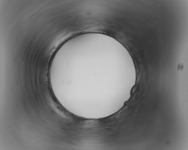 X0000111880050200908201307