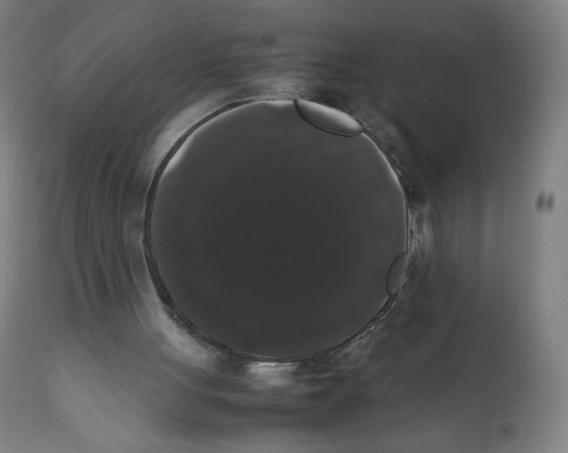 X0000111880051200908201307