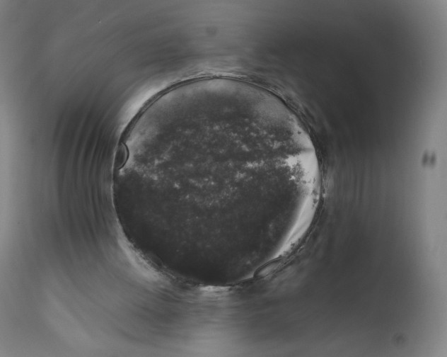X0000111880052200908201307