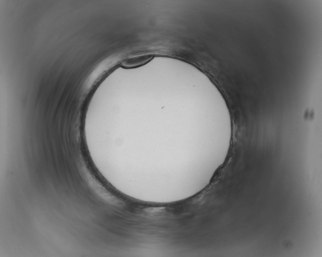 X0000111880054200908201307
