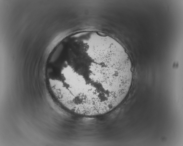 X0000111880055200908201307