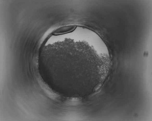 X0000111880056200908201307