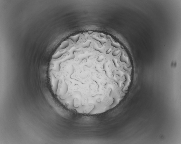 X0000111880057200908201307