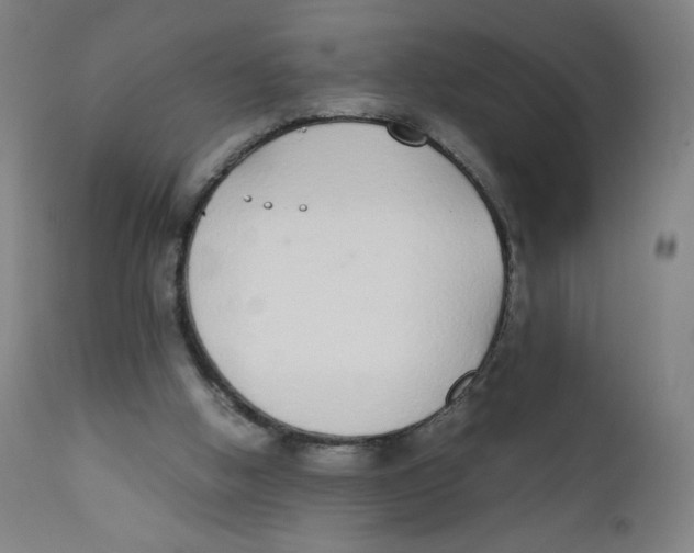 X0000111880058200908201307