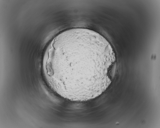 X0000111880059200908201307