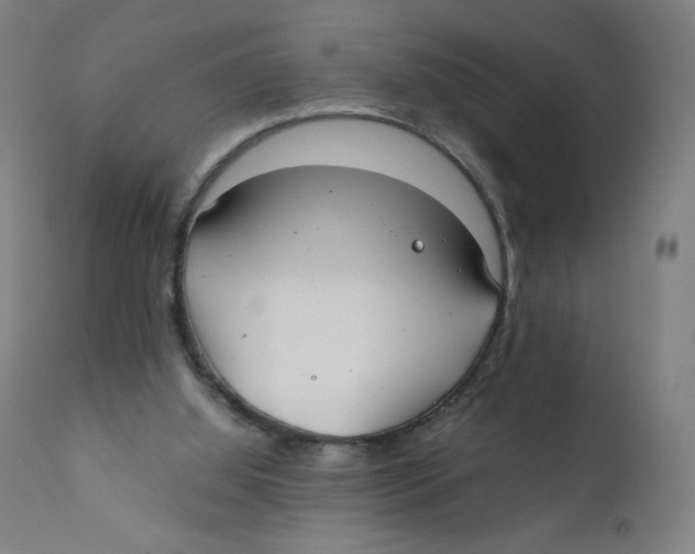 X0000111880060200908201307