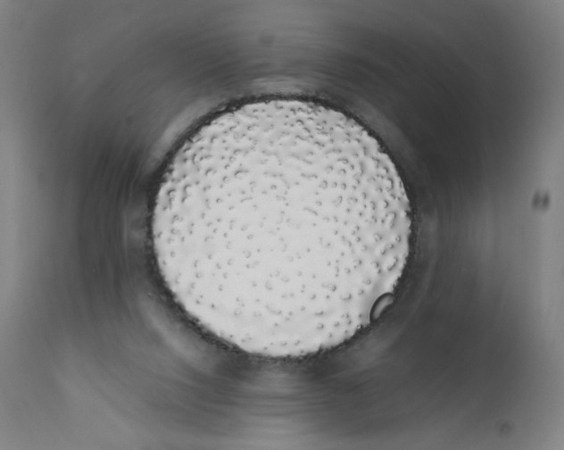 X0000111880064200908201307