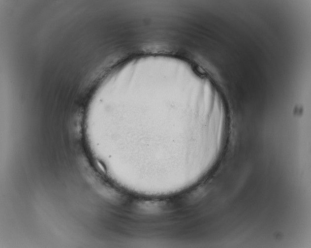 X0000111880065200908201307
