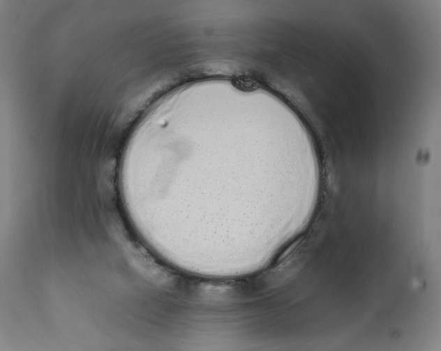 X0000111880066200908201307