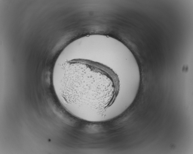 X0000111880067200908201307