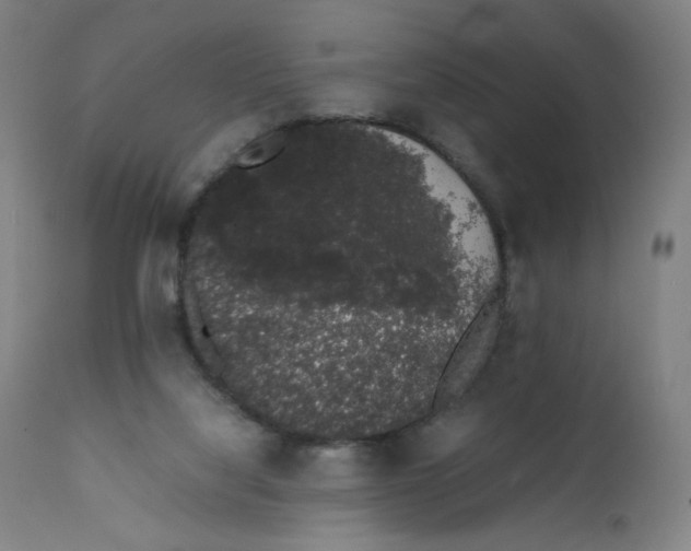 X0000111880068200908201307