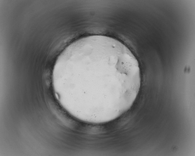 X0000111880069200908201307