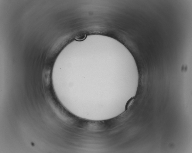 X0000111880070200908201307