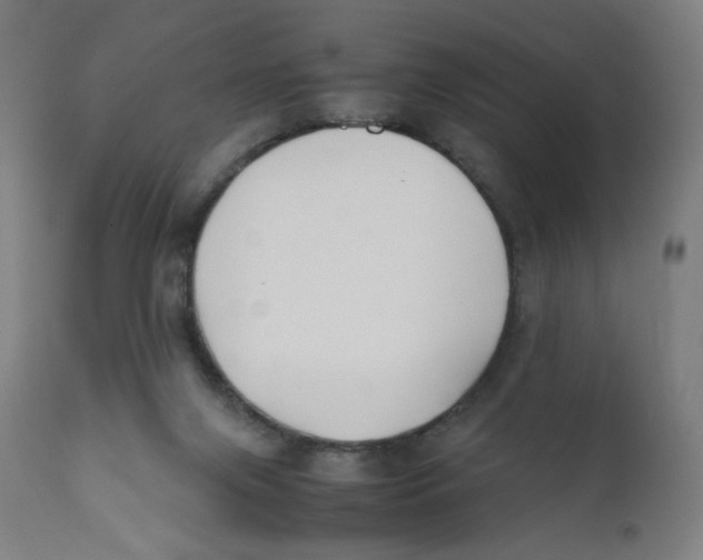 X0000111880071200908201307