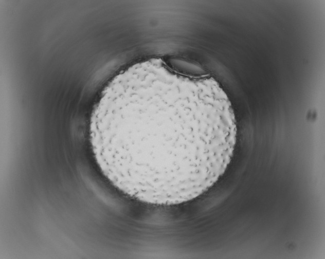 X0000111880072200908201307