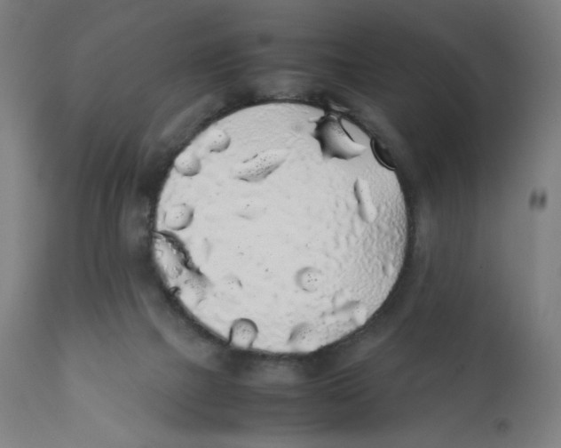 X0000111880073200908201307