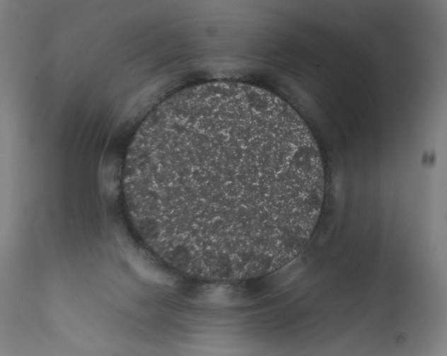 X0000111880074200908201307